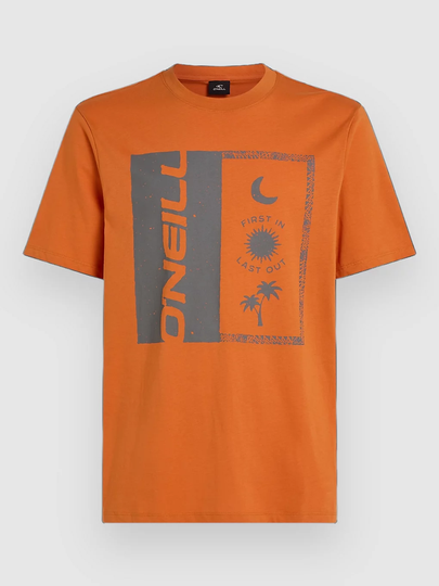 O'Neill Front Print T-paita oranssi