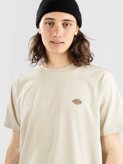 Dickies Mapleton T-Shirt ruskea
