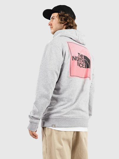 THE NORTH FACE Graphic Light Hoodie harmaa