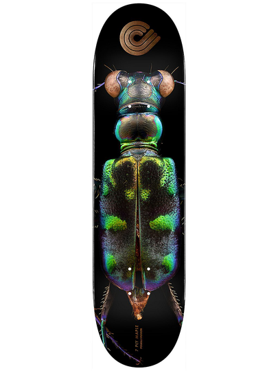 Powell Peralta Levon Biss 248 Tiger Beetle Popscl 8.25" Skateboard Deck musta