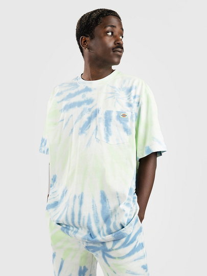 Dickies Seatac T-Shirt vihreä