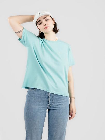 Iriedaily Flagli T-Shirt sininen