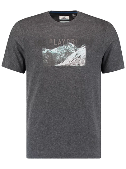 O'Neill Our Playground T-Shirt harmaa