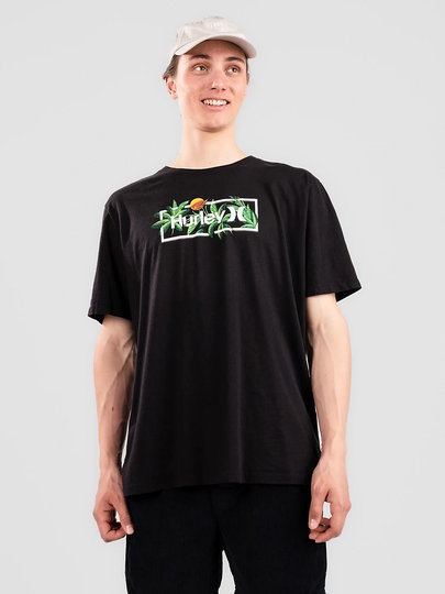 Hurley Everyday Wash Bushmaster T-Shirt musta