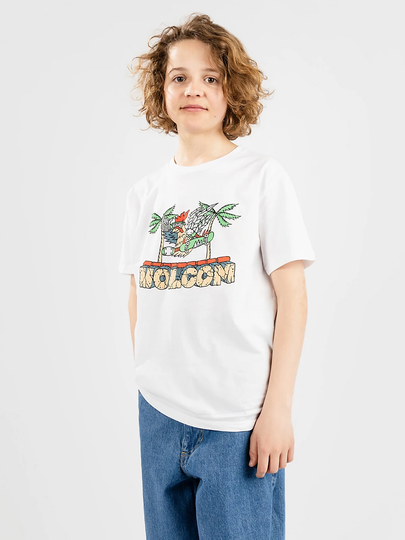 Volcom Roosting Basic T-Shirt valkoinen