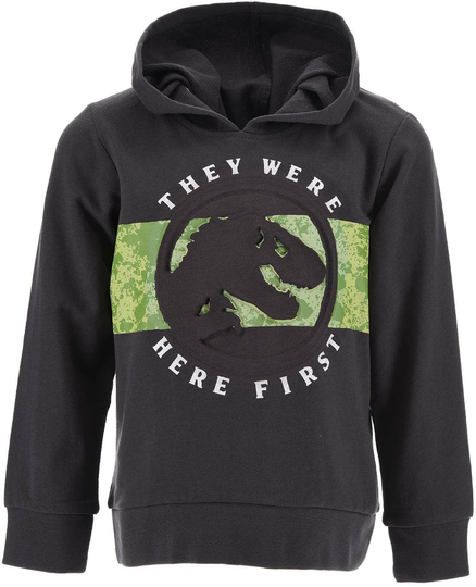 Jurassic World Huppari, Dark Grey, 3 vuotta