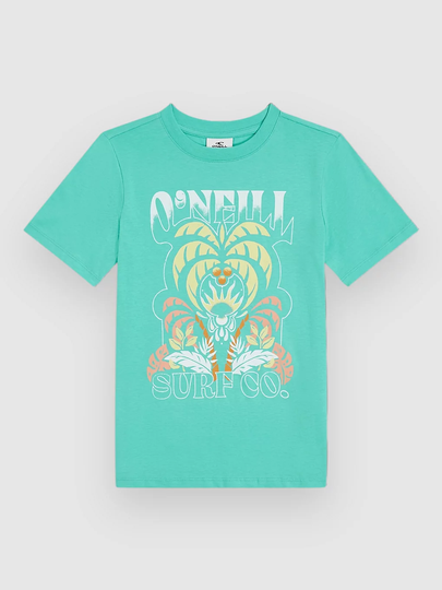 O'Neill Front Graphic Kids T-Paita sininen