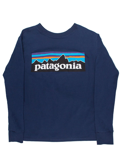 Patagonia Graphic Organic Long Sleeve T-Shirt sininen