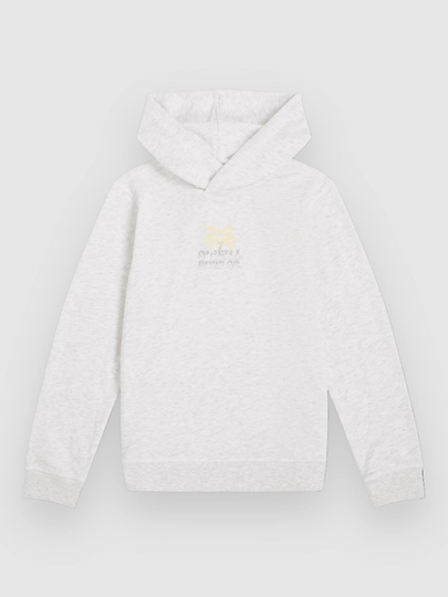 O'Neill Back Print Kids Huppari valkoinen