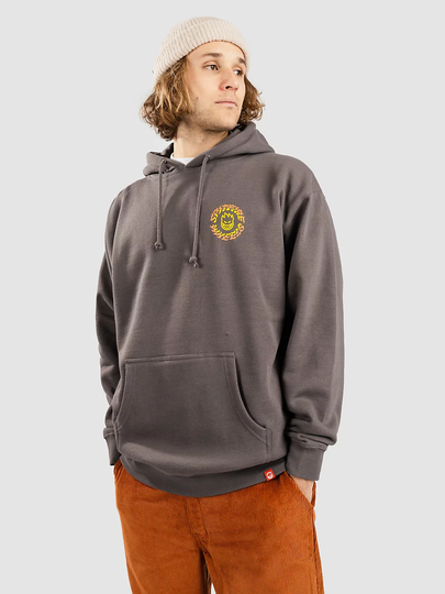 Spitfire Torched Script Hoodie harmaa