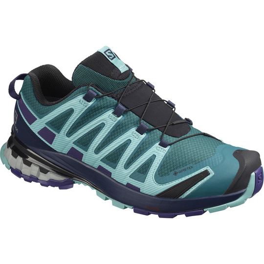 Salomon Xa Pro 3d V8 Gtx W - Shaded Spruce/evening Blue/mea - Naiset - UK 5.5