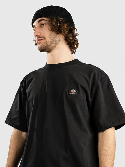 Dickies Mount Vista T-Shirt musta