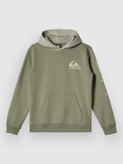 Quiksilver Omni Logo Kids Huppari vihreä