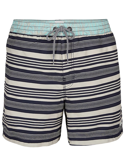 O'Neill Horizon Stripe Boardshorts sininen