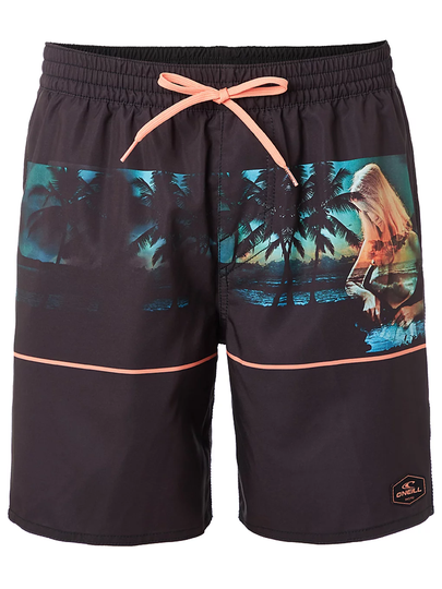 O'Neill Archive Boardshorts musta