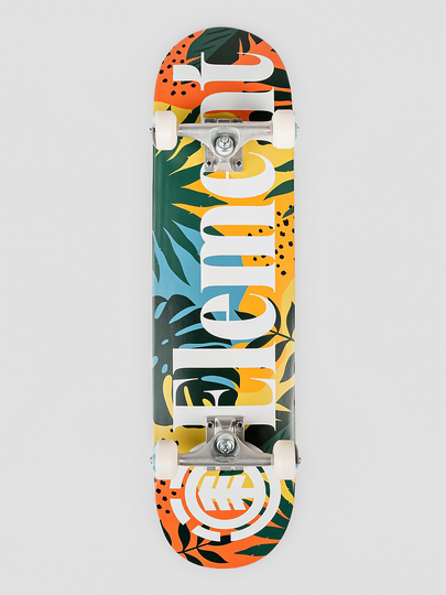 Element Monstera 8.0" Complete kuviotu