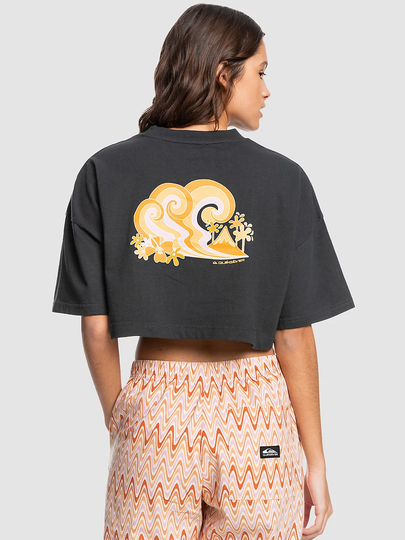 Quiksilver Maxi Crop T-Shirt harmaa