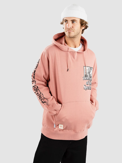 Globe The Physics Hoodie punainen