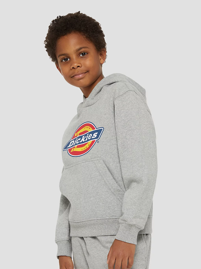 Dickies Logo Kids Huppari harmaa