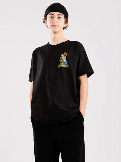 DGK Illuminate T-Shirt musta