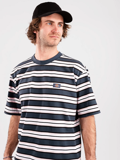 Dickies Lynnwood T-Shirt sininen