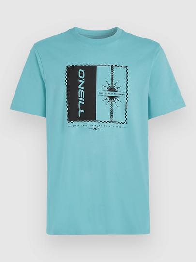 O'Neill Mix & Match Palm T-paita kuviotu