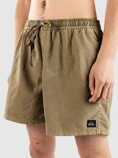 Quiksilver Everyday Surfwash Volley 15 Surffishortsit vihreä