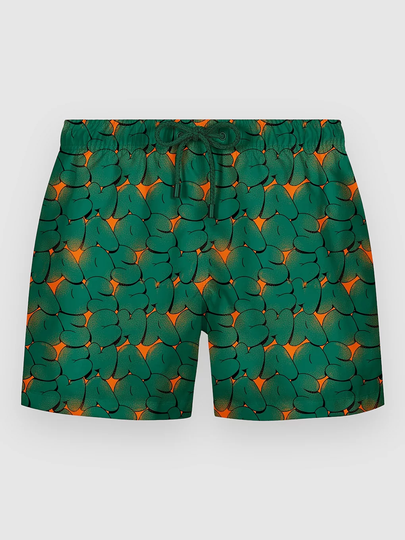 The Dudes Chaos Swim Surffishortsit kuviotu