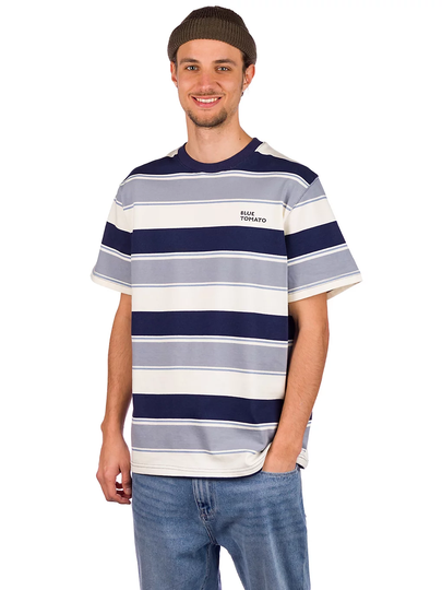 Blue Tomato Cooper T-Shirt sininen
