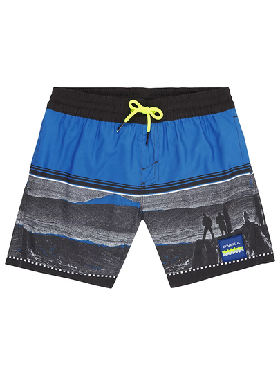 O'Neill The Point Boardshorts musta