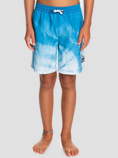 Quiksilver Everyday Faded Logo VL Boardshorts sininen