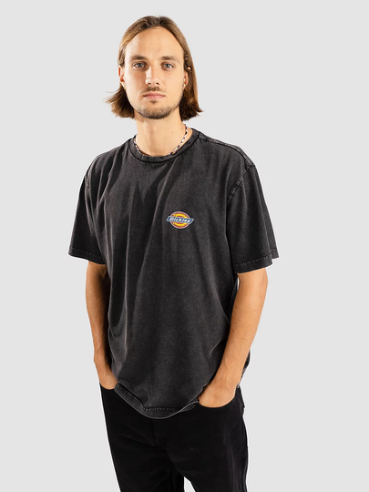 Dickies Icon Washed T-Shirt musta