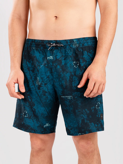O'Neill All Day Print Hybrid Shorts sininen