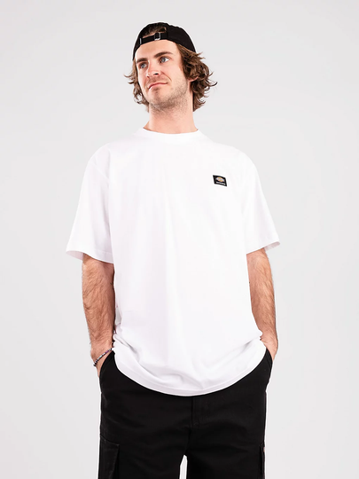 Dickies Mount Vista T-Shirt valkoinen