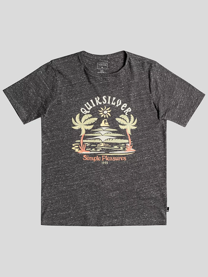 Quiksilver Strange Days T-Shirt harmaa