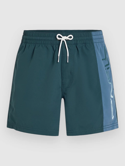 O'Neill Retro 14'' Surffishortsit harmaa