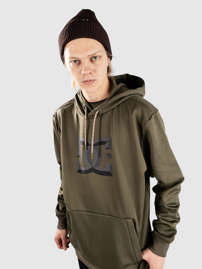 DC Snowstar Shred Hoodie vihreä
