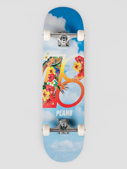Plan B Hawaii 8.25" Complete sininen