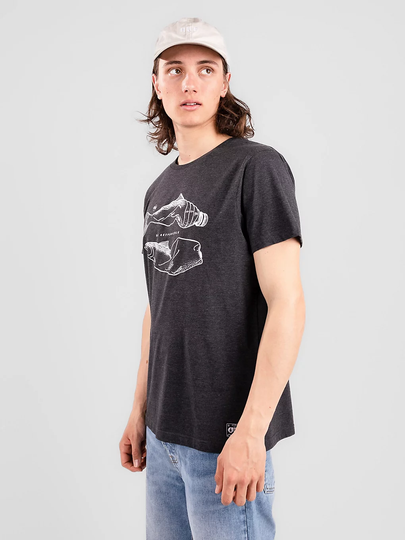 Picture CC Bottlefish T-Shirt harmaa