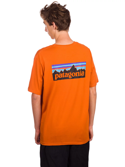 Patagonia P6 Logo Organic T-Shirt oranssi