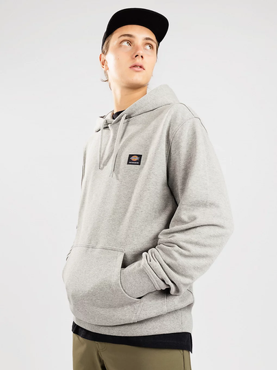 Dickies Mount Vista Huppari harmaa