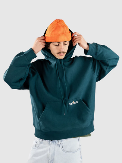 Carhartt WIP Label Script Huppari sininen