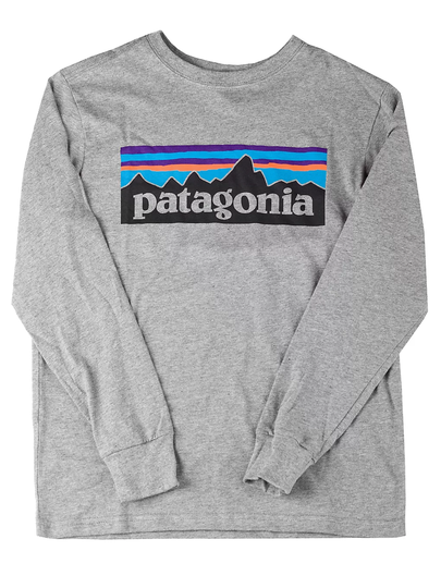 Patagonia Graphic Organic Long Sleeve T-Shirt harmaa