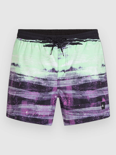 Cali Gradient 15'' Surffishortsit