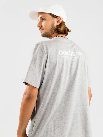 adidas Skateboarding 4.0 Logo T-Shirt harmaa