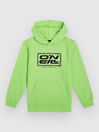 O'Neill Logo Kids Huppari vihreä