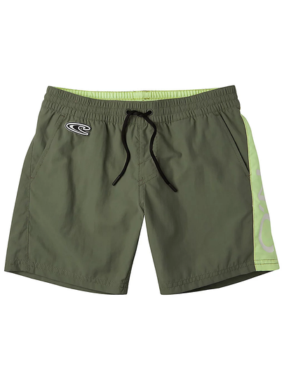 O'Neill Waterprint Boardshorts vihreä