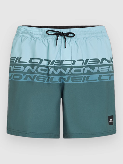 O'Neill Cali Stripe 16'' Surffishortsit sininen