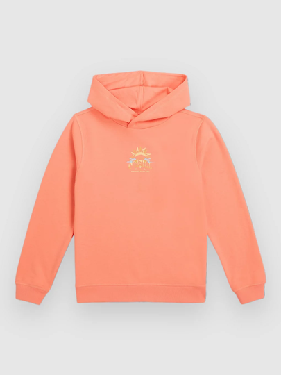 O'Neill Back Print Kids Huppari pinkki