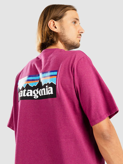 Patagonia P-6 Logo Responsibili T-Shirt pinkki